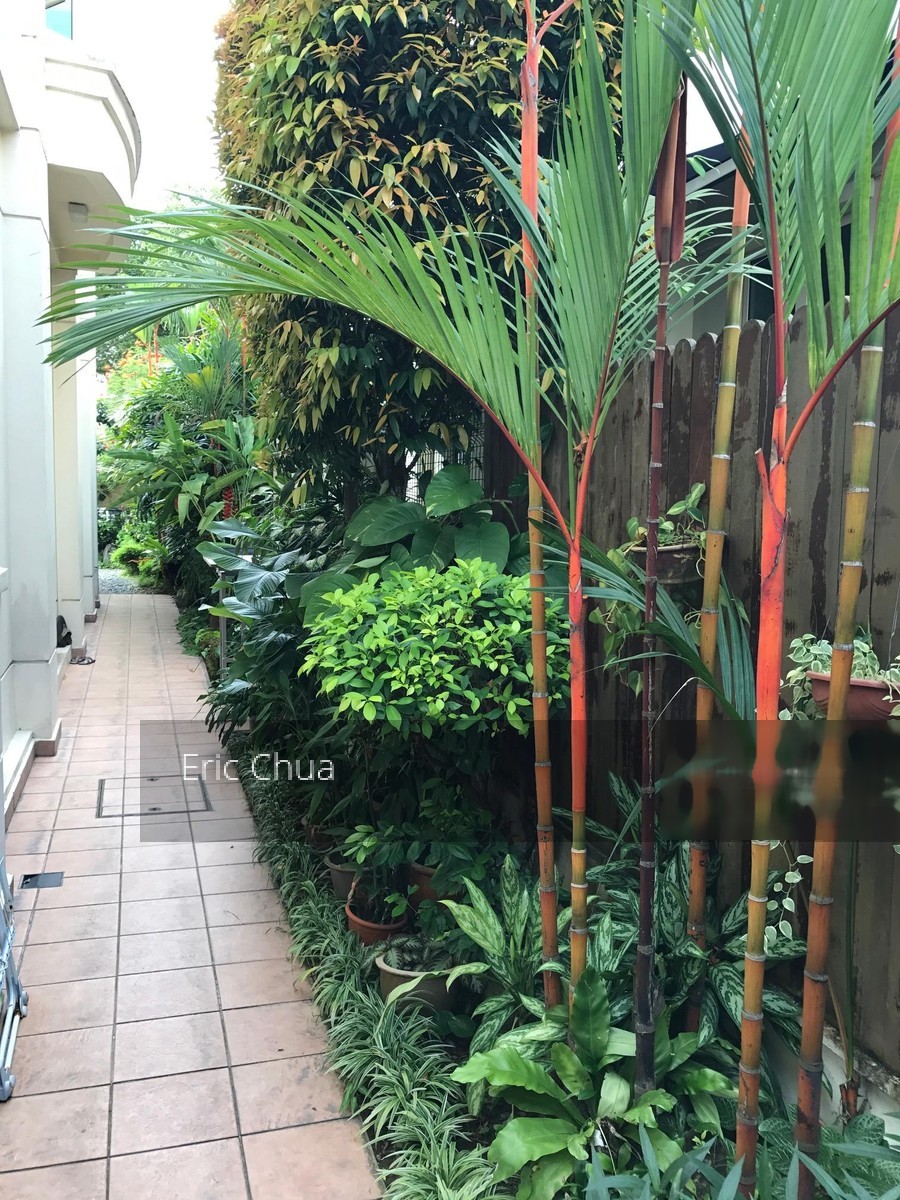 Kingsville thumbnail photo